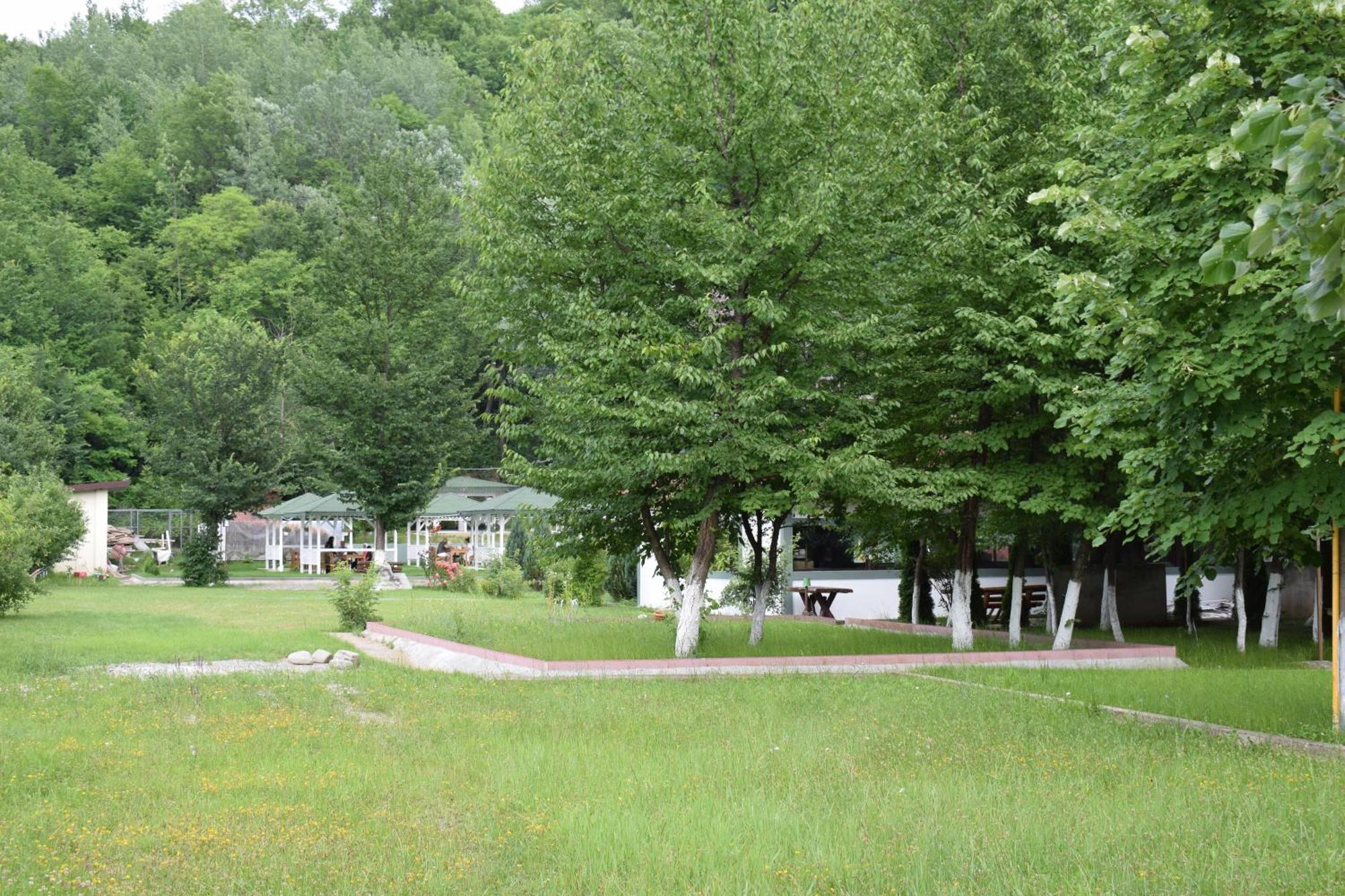 Pensiunea Arido Cornu de Jos Exterior foto